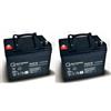 Quality Batteries Batteria di ricambio per E-Scooter Rapid 2 24V 2 x 12V 36Ah ciclo tipo AGM