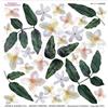 Pellicola Adesiva Jasmine