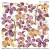 Pellicola Modellabile Old Orchid Serie Gold