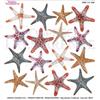 Pellicola Modellabile Star Serie 1