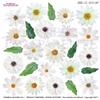 Pellicola Modellabile White Daisy Serie 1