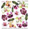 Pellicola Modellabile Color Orchid Serie 1