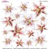 Pellicola Modellabile Tiger Lily Serie 1