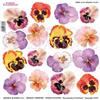 Pellicola Modellabile Orange Pansy Serie 2
