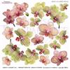 Pellicola Modellabile Green Orchid Serie 2