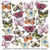 Pellicola Modellabile Colorful Butterfly Serie 2
