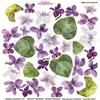 Pellicola Modellabile Violette Serie 4