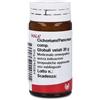 WALA CICHORIUM PANCREAS GLOBULI 20 G