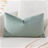 Artscope Federe Cuscini in Velluto Minimalista Copricuscino Colorato per la Decorazione Domestica Soggiorno Camera da Letto Divano 40x60cm, Grigio Chiaro
