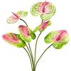 Rikyo 5 pezzi Fiori artificiali di Anthurium Lily da 24 pollici/61cm permanenti per decorazione casa matrimonio nuziale festival festa, artigianato, decorazione negozio piccolo bouquet fiori accessori
