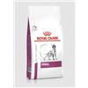 Royal Canin Veterinary Formula Renal Alimento Secco Per Cani 14kg Royal Canin