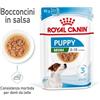 ROYAL CANIN Mini puppy 24 x 85g cibo umido in salsa per cuccioli fino a 10 mesi, razze piccole