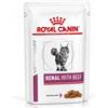 ROYAL CANIN Renal Feline wołowina 48 x 85g cibo umido per gatti con insufficienza renale cronica