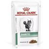 ROYAL CANIN Cat diabetic 4 x 12 x 85g cibo umido dietetico per gatti adulti con diabete mellito