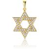 PRINS JEWELS Ciondolo a forma di stella di David in oro giallo 585 14 carati, con zirconi, unisex