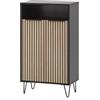 Schildmeyer Hank 157162 - Scarpiera stile pannello fonoassorbente, 60.2 x 33,1 x 107,9 cm, nero opaco