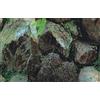 MARTY Acquario Backgound Piante/Rocce Hobby