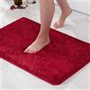 MIULEE 1 Pezzo Tappeto in Microfibra 4 CM Lungo Anti-scivolo Assorbimento dell'acqua Morbido Tappetino da Bagno per Porte d'ingresso Corridoio Doccia Soggiorno 40X60 CM Rosso