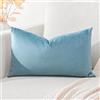 Artscope Federe Cuscini in Velluto Minimalista Copricuscino Colorato per la Decorazione Domestica Soggiorno Camera da Letto Divano 40x60cm, Azzurro