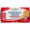 equilibra Integratori Alimentari, Pappa Reale Fresca, Integratore con Vitamine del Gruppo B, Arricchito con Miele Millefiori, Adatto Anche ai Bambini Sopra i 6 Anni, 10 Flaconcini Pronti da Bere