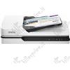 Epson WorkForce DS-1630 - scanner documentale - Duplex - A4 - 1200 dpi x 1200 dpi - b...