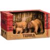 TERRA Famiglia di orsi bruni Terra