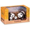 TERRA Famiglia dei panda Terra