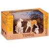 TERRA Famiglia di ghepardi Terra