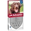 Bayer Div. Animale ADVANTIX SPOT ON*6PIP 25-40KG