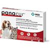 Msd Animal Health PANACUR*10CPR 250MG