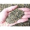 Geosism & Nature Sabbia silicea, quarzite 2/5 mm (10 kg)