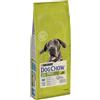 Dog Chow Purina Dog Chow Adult Large Breed Croccantini Cane con Tacchino 14 kg