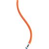 Petzl Paso Guide 7.7 mm mezza corda arrampicata alpinismo