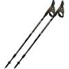 Fizan Speed Nordic bastoncini Nordic walking