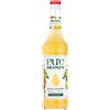 Monin Pure Mango & Frutto della passione 70cl