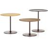 Occasional Low Table tavolino