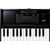 Roland K25m Boutique Limited Edition