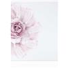 Declea Quadro Half Stampa con fiore ispirato alla natura - arredo casa salotto Stampa moderna su tela in cotone 100%