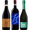 BALERIN Cassa mista vini - Amarone DOCG Biologico, Prosecco DOC Extra Dry, Valpolicella DOC Biologico - 3 Bottiglie - 0,75L