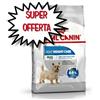 ROYAL CANIN CANE MINI LIGHT WEIGHT CARE 8 KG sacco danneggiato scadenza 02/05/2025