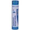 BOIRON SRL GELSEMIUM SEMP 9CH GR 4G