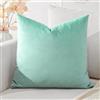 Artscope Federe Cuscini in Velluto Minimalista Copricuscino Colorato per la Decorazione Domestica Soggiorno Camera da Letto Divano 40x40cm, Verde Acquatico