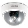VR VETRINEINRETE Vetrineinrete® Telecamera di videosorveglianza dome finta con finto sensore di movimento e led rosso lampeggiante design professionale A24