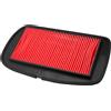 Yerbay Filtro aria per Yamaha FZ6 2004-2008/ FZ6 Fazer 600 2004-2007/ FZ6 S2 2007-2009 5VX-14451-00 HFA4612
