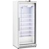 Royal Catering RCLK-F590GB - Frigorifero per congelatore, 580 l, 492 W, con porta in vetro, colore argento