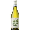 Pinot Grigio Delle Venezie Tavo iLauri 2023 - Vini