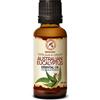AROMATIKA trust the power of nature Olio Essenziale di Eucalipto 100% Olio Essenziale Naturale 30ml - Eucalyptus Radiata - Australia - Ideale per Bellezza - Sauna - Aromaterapia - Diffusore di Aromi - Lampada di Fragranza