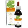 Naturalma Fico (Ficus carica) Gemmoderivato analcoolico da gemme fresche Naturalma - Estratto liquido gocce 120 ml - Integratore alimentare - Vegano