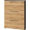 GERMANIA DIE MÖBELMACHER Germania scarpiera 3884-549 GW-Wildomar, in decoro Grafite/Rovere Navarra, con spazio per 12 paia di scarpe, profondità ridotta, ideale per corridoi stretti, 100 x 129 x 19 cm (LxHxP)