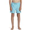 Quiksilver Everyday Solid Volley - Bermuda da Bagno da Ragazzo 8-16